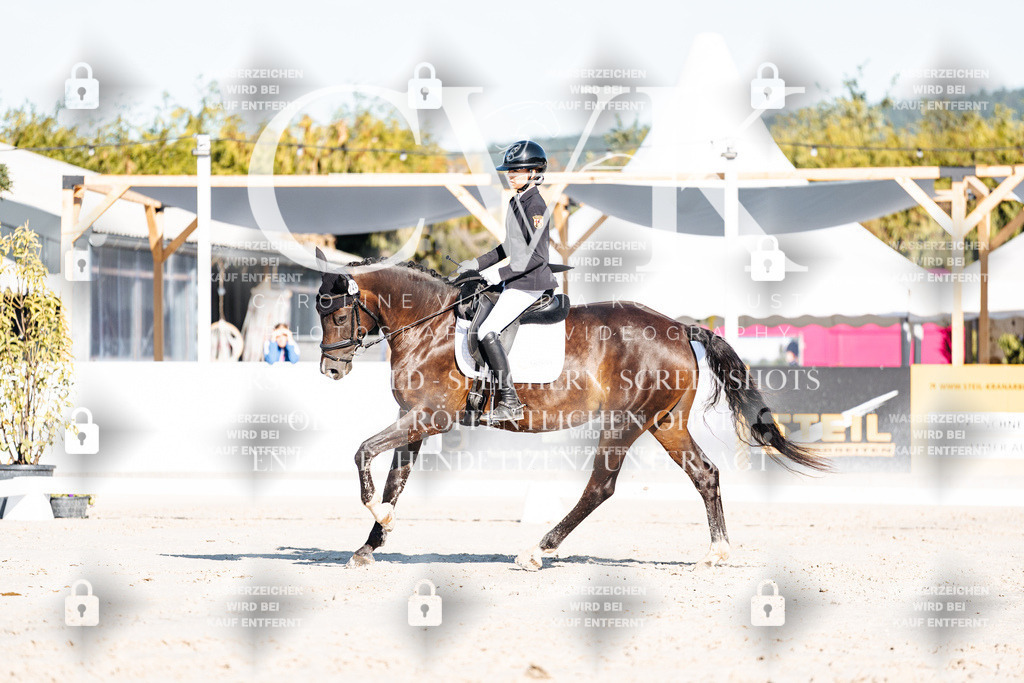 CK907193 | Turnierfotografie Pferdefotografie Trier Rheinland-Pfalz Pferdesport Reitsport Tierfotografie Sportfotografie Pferdevideo Pferdevideografie Equestrianvideography equestrianphotography  - Realisiert mit Pictrs.com