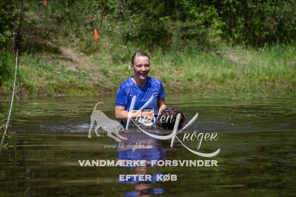 1200DKK991484 | kk-dogfotos