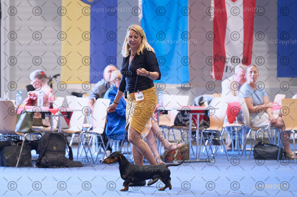 202406_ÖKV-IHA-Tulln24_DSC_3888 | proPHOTO - Realisiert mit Pictrs.com