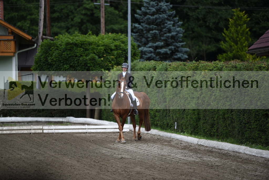DSC_3629 | equestrian-live-com