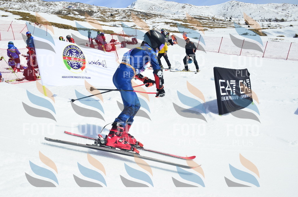 _ELE1259 | holidayphoto