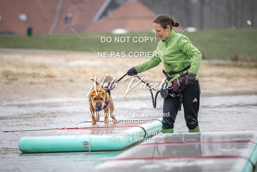 nelerasche_Hulsbeek_Sa1030-1100_718 | nelerasche