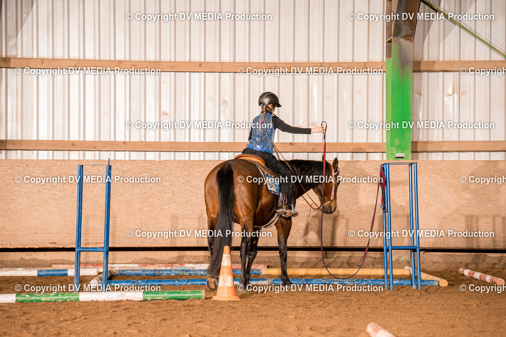 BA400039 | dv-media-shop - Realisiert mit Pictrs.com