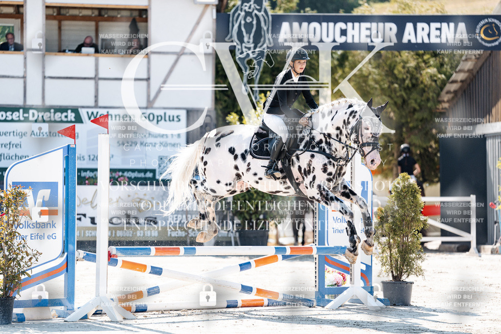CK905004 | Turnierfotografie Pferdefotografie Trier Rheinland-Pfalz Pferdesport Reitsport Tierfotografie Sportfotografie Pferdevideo Pferdevideografie Equestrianvideography equestrianphotography  - Realisiert mit Pictrs.com