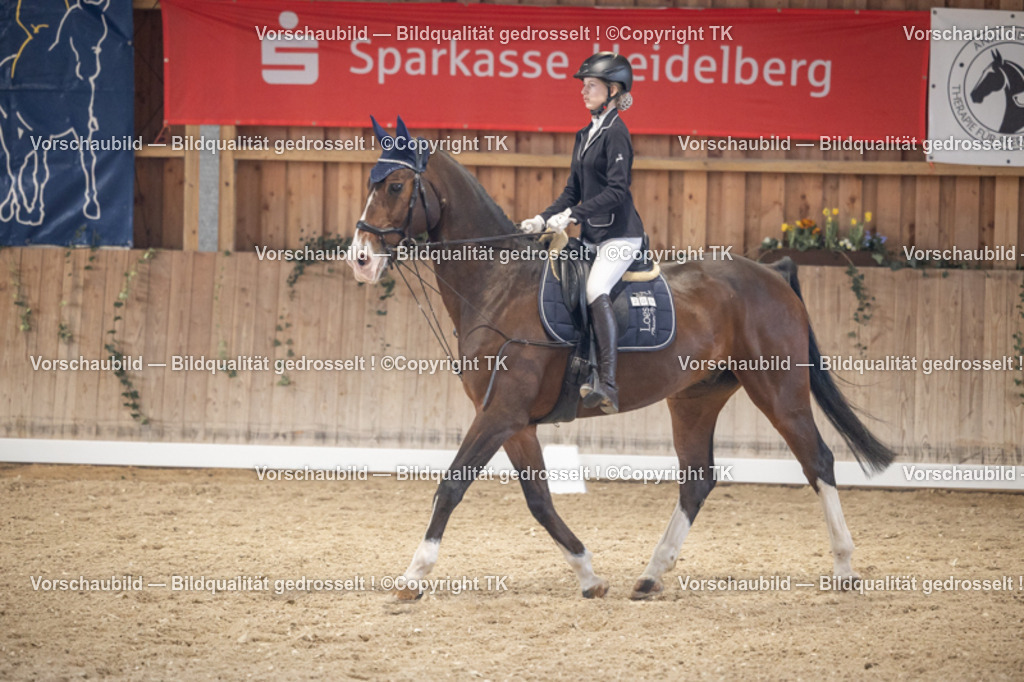 _D5A5621 | Emotionale Pferde- & People-Fotografie rund um Heidelberg, Leimen & Umgebung. Natürliche Fotos von Pferd, Mensch & Familie. Jetzt Termin sichern!