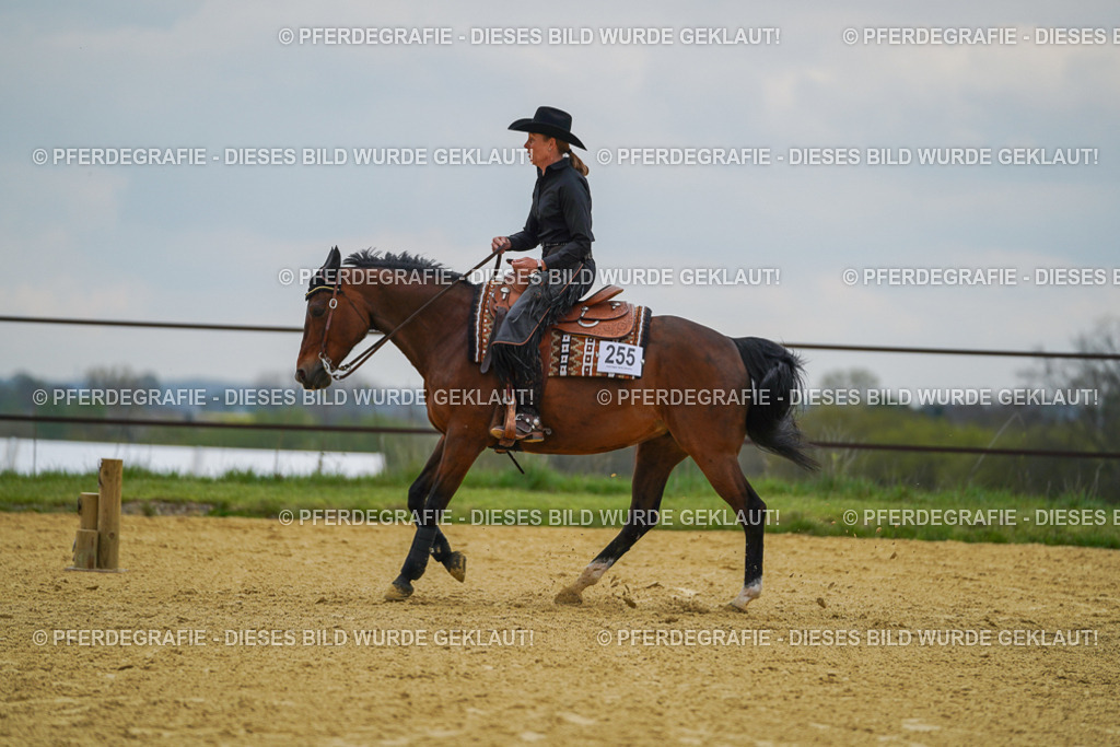 DSC07707 | Pferdegrafie