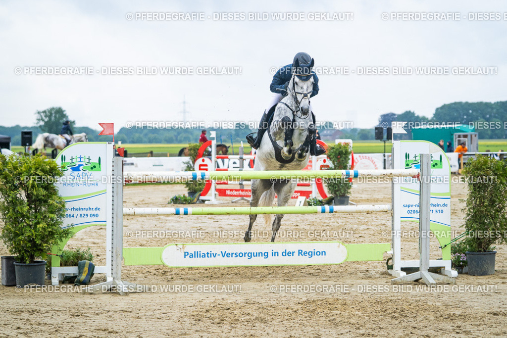 DSC00426 | Pferdegrafie