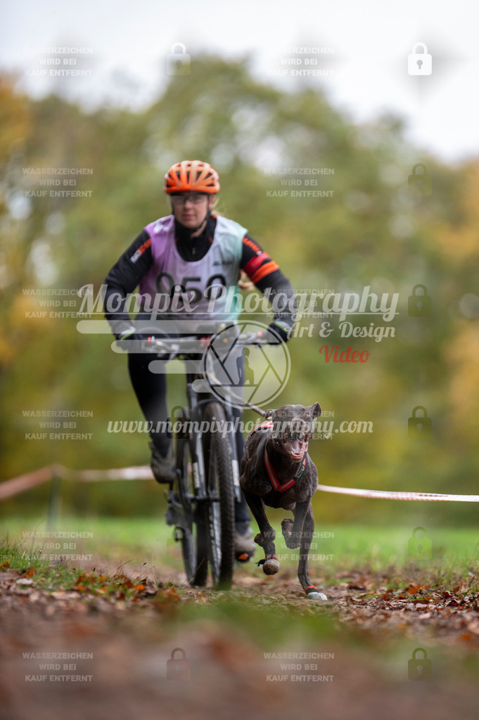 DBT_DAKM_SA_4_11_2023_Bike-20 | PayLife
