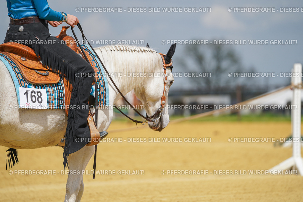 DSC05475 | Pferdegrafie