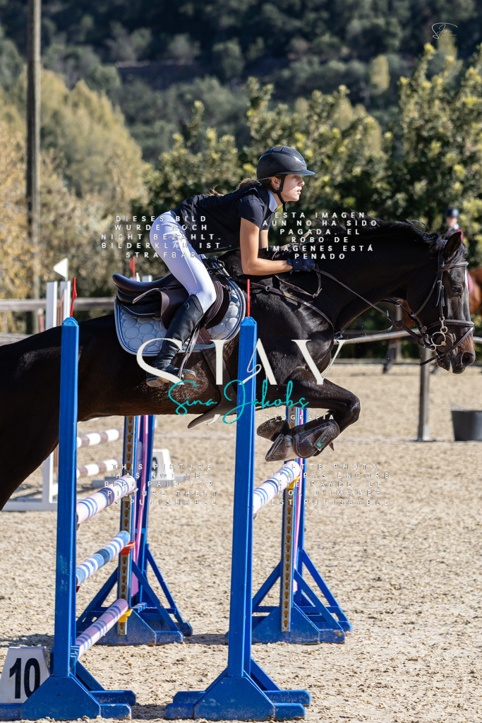 IMG_6397 | s-jay-photography - Realisiert mit Pictrs.com