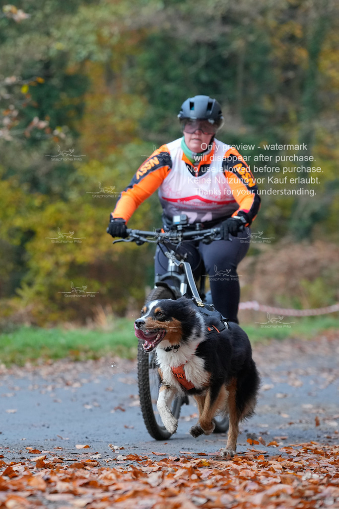 Bike_So-147 | stephaniefillaphotographie - Realisiert mit Pictrs.com