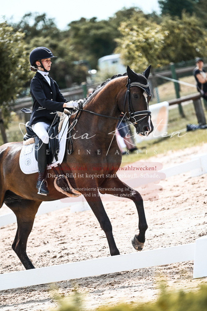 DSC_5224 | Pferde- und Turnierfotografie in Westsachsen. Pferdeportraits, Auftragszeichnungen und intuitive Kunst.