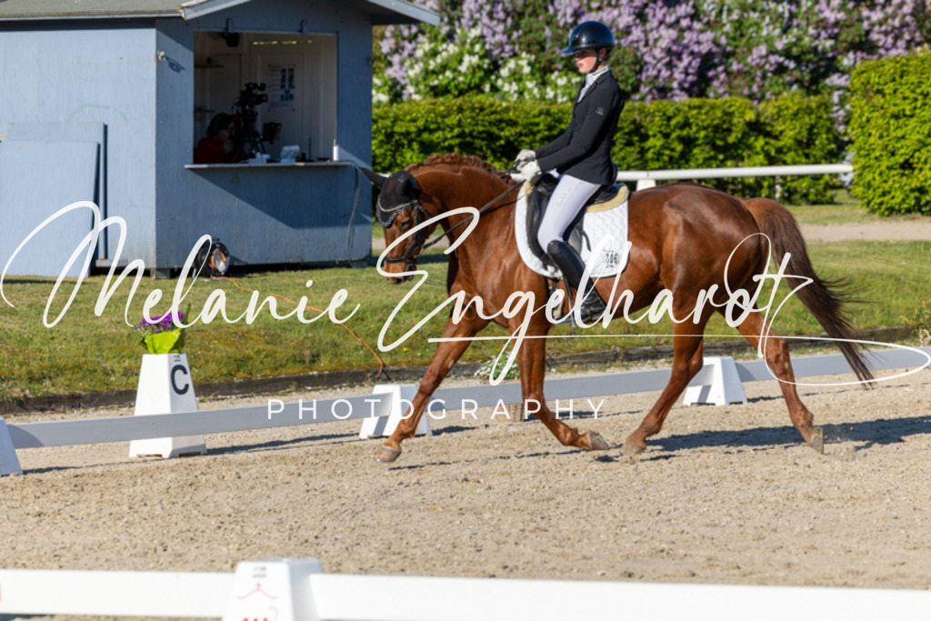 7I8A8332 | melanie-engelhardt-photography - Realisiert mit Pictrs.com