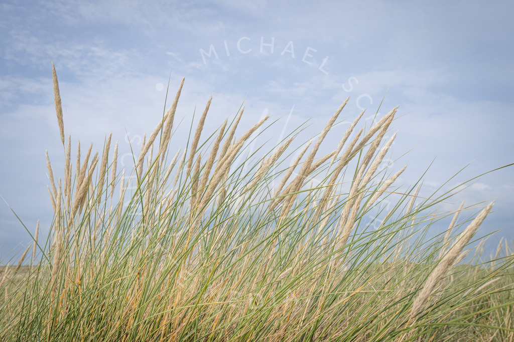 2025-07-20 SPO Strand u Sonnenuntergang 045 | Schwotte Media - Realisiert mit Pictrs.com