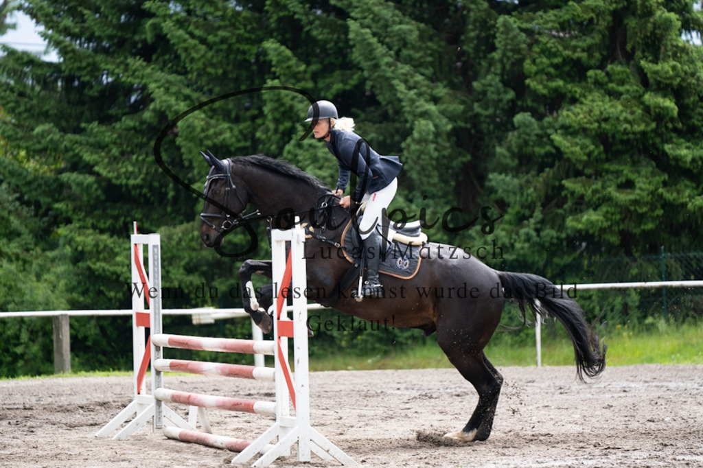 A7V04132 | Pferdefotograf