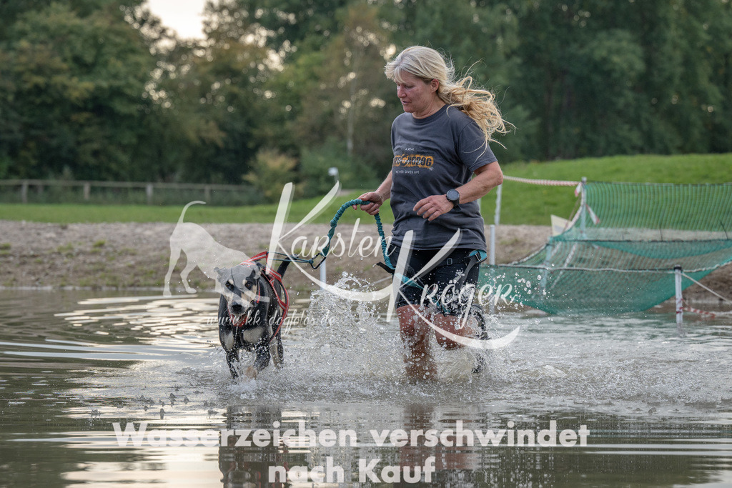 1536_ZZ93464 | kk-dogfotos