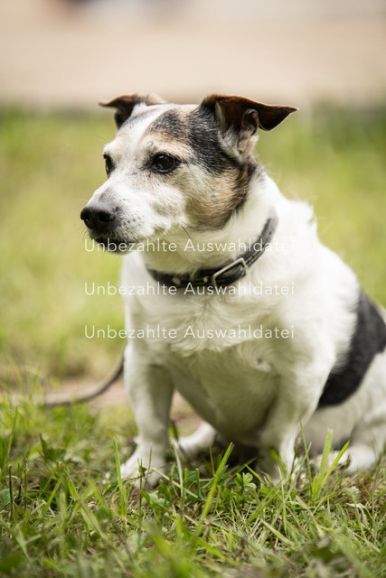 Bad_Meinberg_06902 | saradresslerfotografie - Realisiert mit Pictrs.com