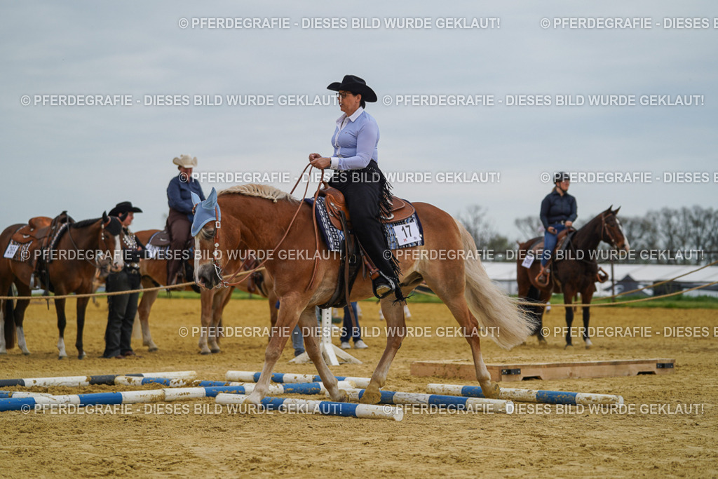 DSC02515 | Pferdegrafie