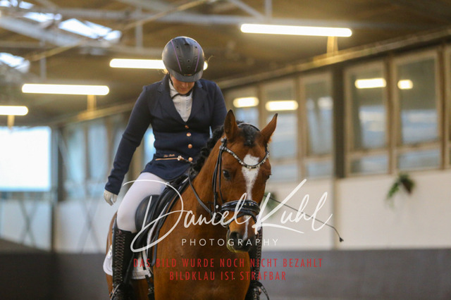 IMG_7528 | Turniersportfotografie; Pferdefotografie; Dressurfotografie