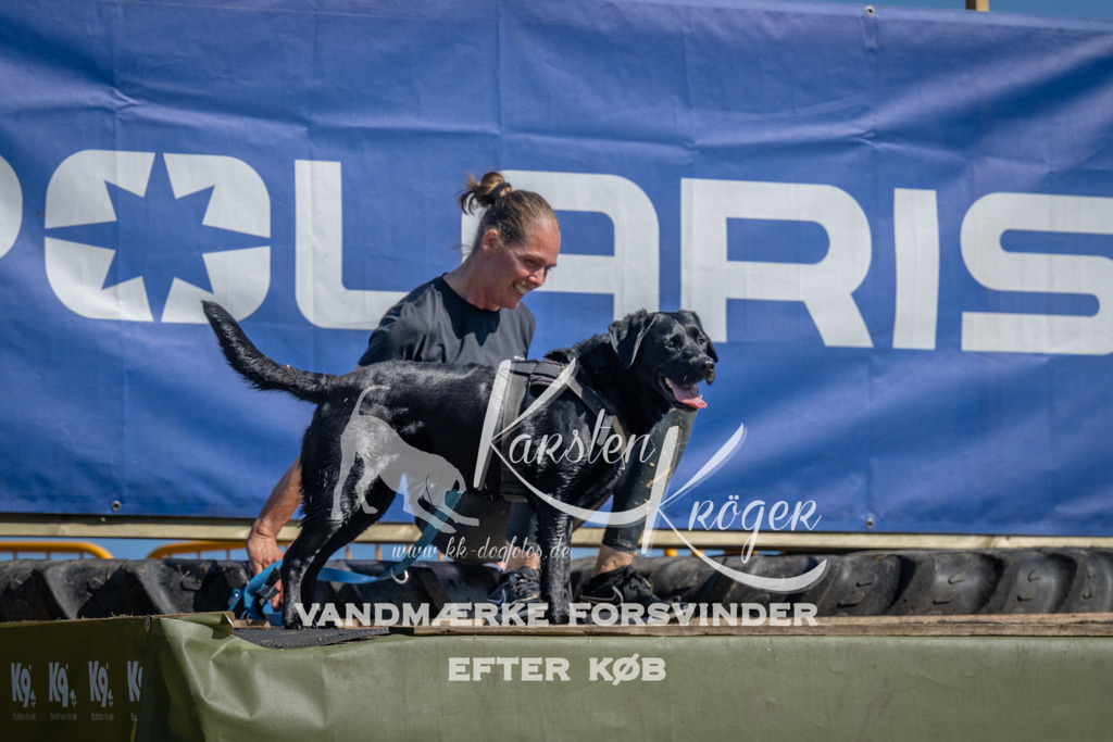 1116_ZZ91023 | kk-dogfotos