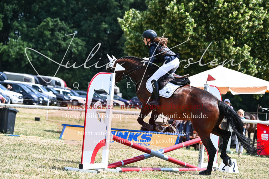 DSC_9585 | Pferde- und Turnierfotografie in Westsachsen. Pferdeportraits, Auftragszeichnungen und intuitive Kunst.