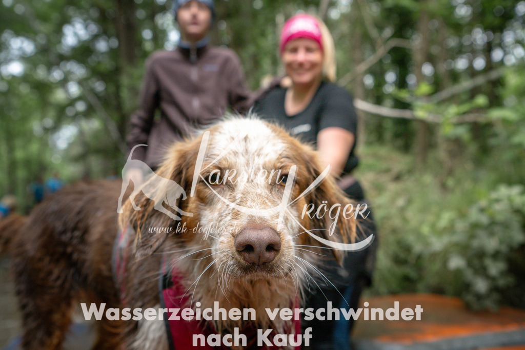 1252_ZZ91383 | kk-dogfotos
