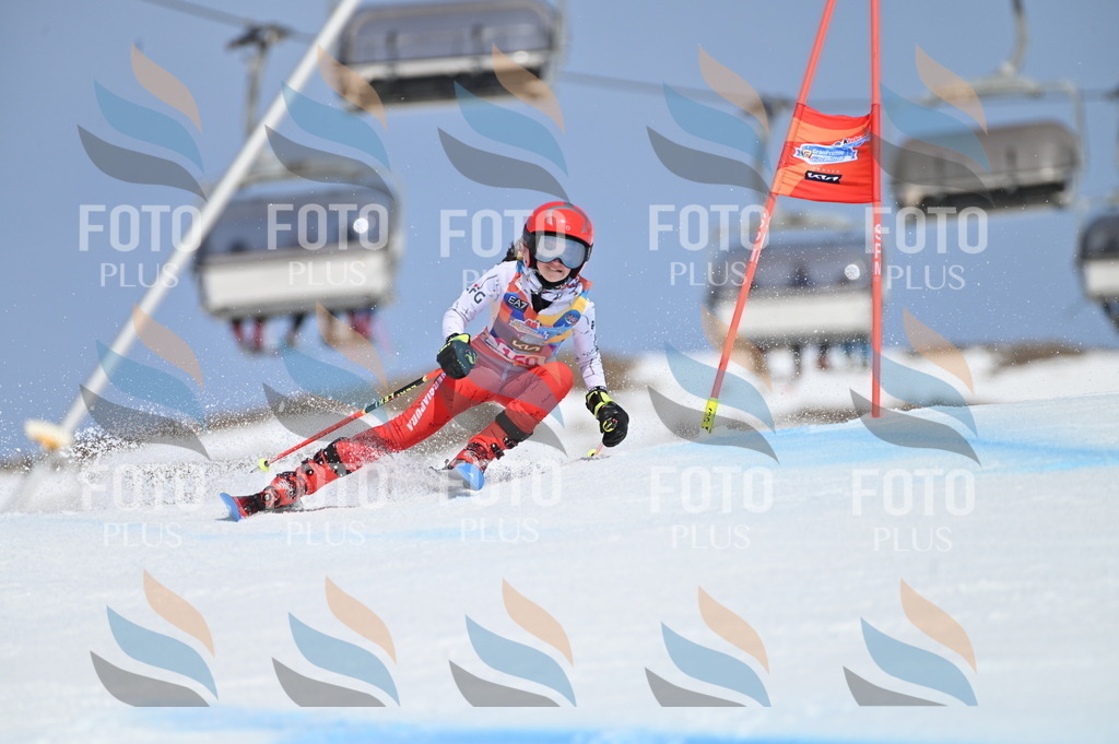 BGV_0038 | holidayphoto