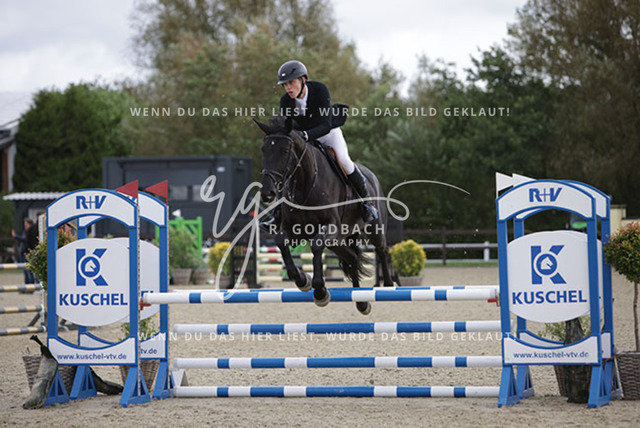 1J2A2333Hannes Ahlmann_ Mizia_ Kn748_ Havekost | Foto- und Videografie für alles rund ums Pferd. Hochwertige Bilder und Videos vom Spring- und Dressurreiten, Voltigieren & mehr. Jetzt aktuelle Veranstaltungen und Preise im Shop ansehen. - Realisiert mit Pictrs.com