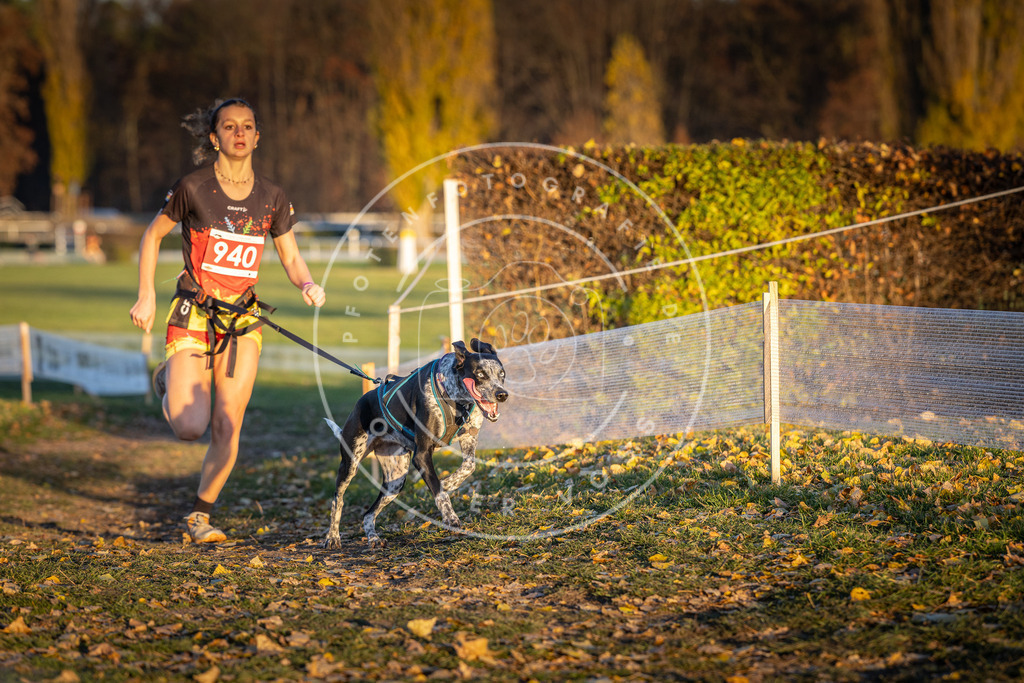 CaniXpix_DV3A5376 | Hundefotografie, Tierfotograf, Pfotenfotografie, Fotoshooting Hund, Hunde Portrait, Hundesport, Hundeportraits, Heideshooting, Hunde, Sportfotograf, Hundefotograf, Turnierhundsport, THS,  - Realisiert mit Pictrs.com