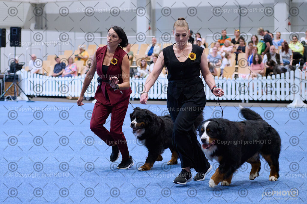 202406_ÖKV-IHA-Tulln24_DSC_3708 | proPHOTO - Realisiert mit Pictrs.com