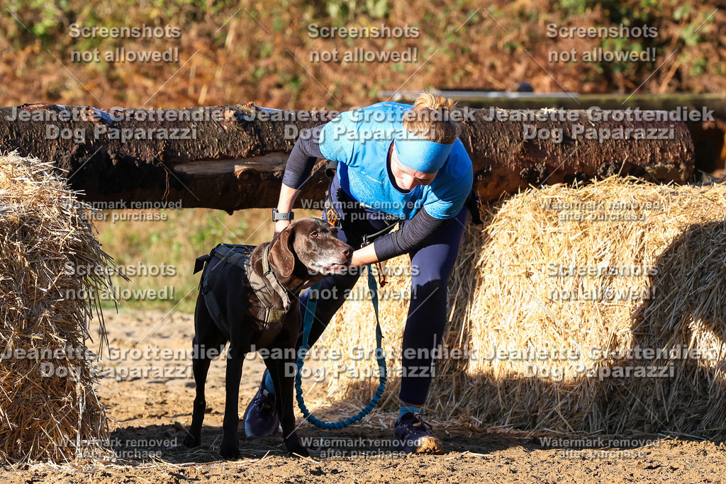 Dog Paparazzi - Strongdog 10-25-1048 | Dog Paparazzi Jeanette Grottendiek Fotografie & Videografie - Realisiert mit Pictrs.com
