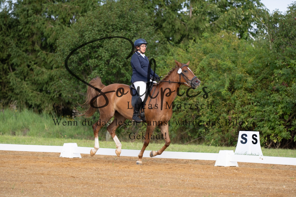 A7V03726 | Pferdefotograf