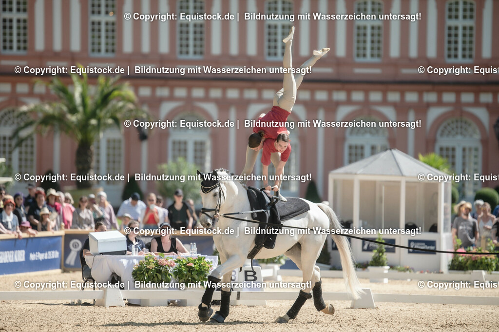 20230528_Voltigieren_NASPA_0349 | equistock