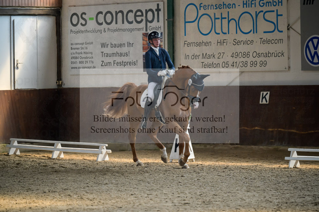 Reitturnier Voxtrup | Entdecke hochwertige Reitturnierfotos von Foto Oger. Professionell, emotional und authentisch – jetzt Lieblingsmomente im Shop bestellen.Deutschlandweite Turnierfotografie. - Realisiert mit Pictrs.com