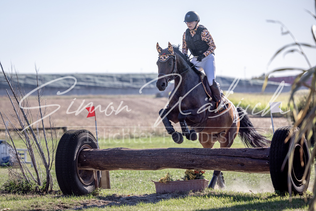 20260906-_3LI1783 | Tierfotografie Pferde, Hunde, Katzen, Haustiere.
Turnierfotografie Reitturniere, Reiten, Springreiten, Dressur in Hanau, dem Main-Kinzig-Kreis und dem Rhein-Main- Gebiet um Frankfurt