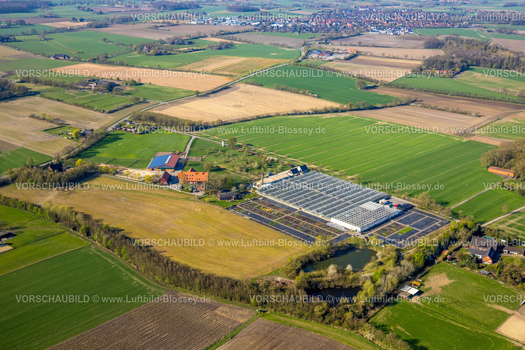 Nordkirchen250400670Capelle | Luftbild, Gartenbaubetrieb Heutinck Pflanzen GmbH, Gewächshaus und Blumenbeet, Südkirchen, Nordkirchen, Münsterland, Nordrhein-Westfalen, Deutschland