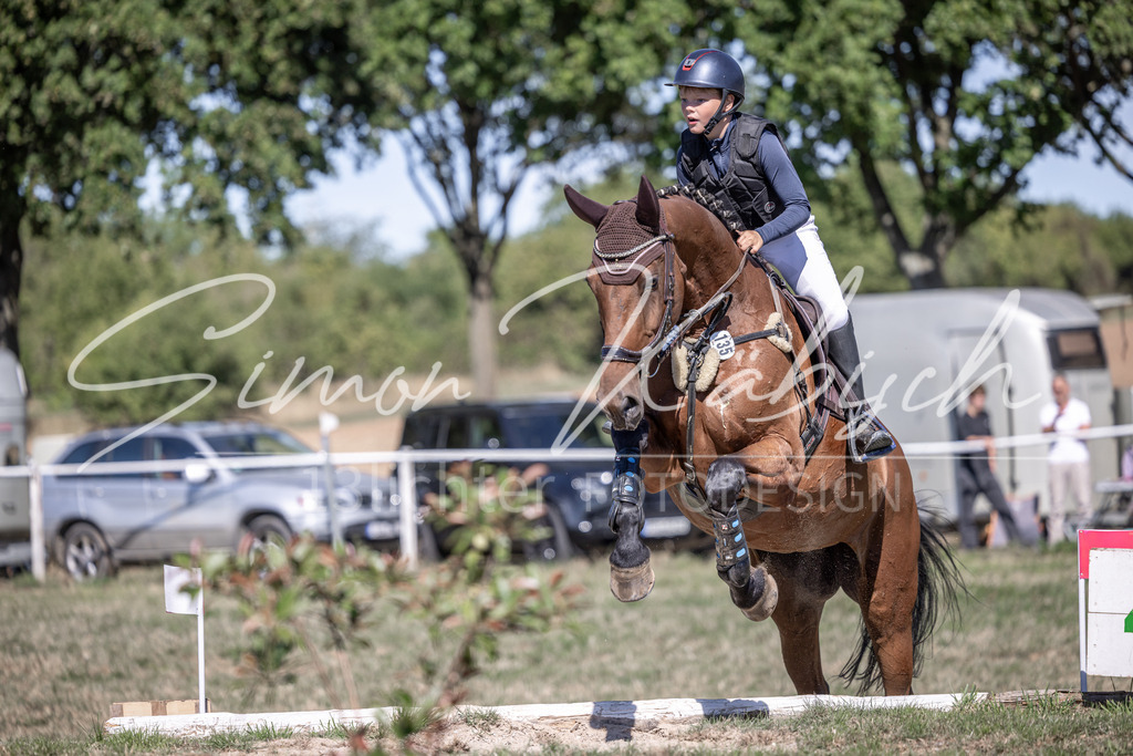 20260906-_3LI2889 | Tierfotografie Pferde, Hunde, Katzen, Haustiere.
Turnierfotografie Reitturniere, Reiten, Springreiten, Dressur in Hanau, dem Main-Kinzig-Kreis und dem Rhein-Main- Gebiet um Frankfurt