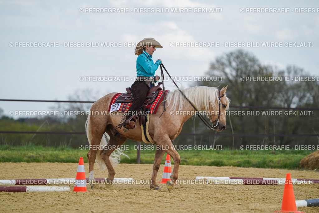 DSC05397 | Pferdegrafie