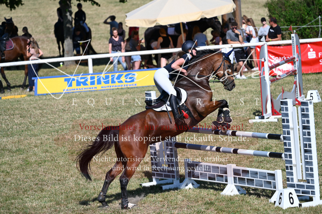 DSC_2093 | Pferde- und Turnierfotografie in Westsachsen. Pferdeportraits, Auftragszeichnungen und intuitive Kunst.