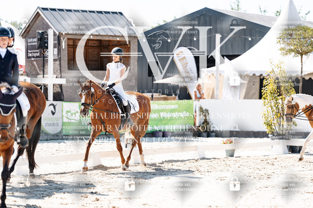 CK902481 | Turnierfotografie Pferdefotografie Trier Rheinland-Pfalz Pferdesport Reitsport Tierfotografie Sportfotografie Pferdevideo Pferdevideografie Equestrianvideography equestrianphotography  - Realisiert mit Pictrs.com