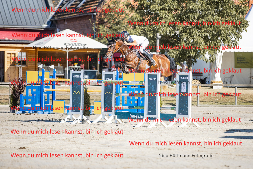BK1A8620 | Turnierbilder Turnierfotos Nina Hüffmann Turnierfotografie Pferdefotografie Tierzeichnung Haustierzeichnung Pferdezeichnung Hundezeichnung Videograf  - Realisiert mit Pictrs.com