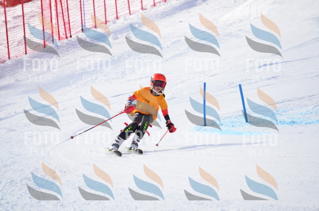 C7971 | holidayphoto