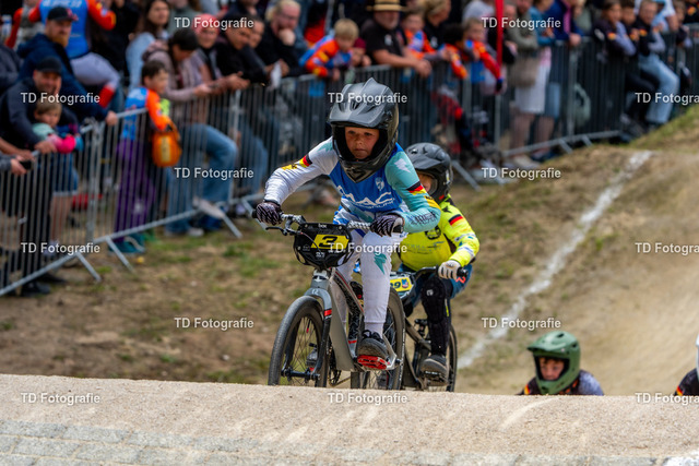 BayBMX2026-05862 | Fotogalerie von Thomas Dettweiler mit Eventbildern und lizenzfreien Fotos. Perfekt als Wandbild, für Büro, Website oder private Nutzung. - Realisiert mit Pictrs.com