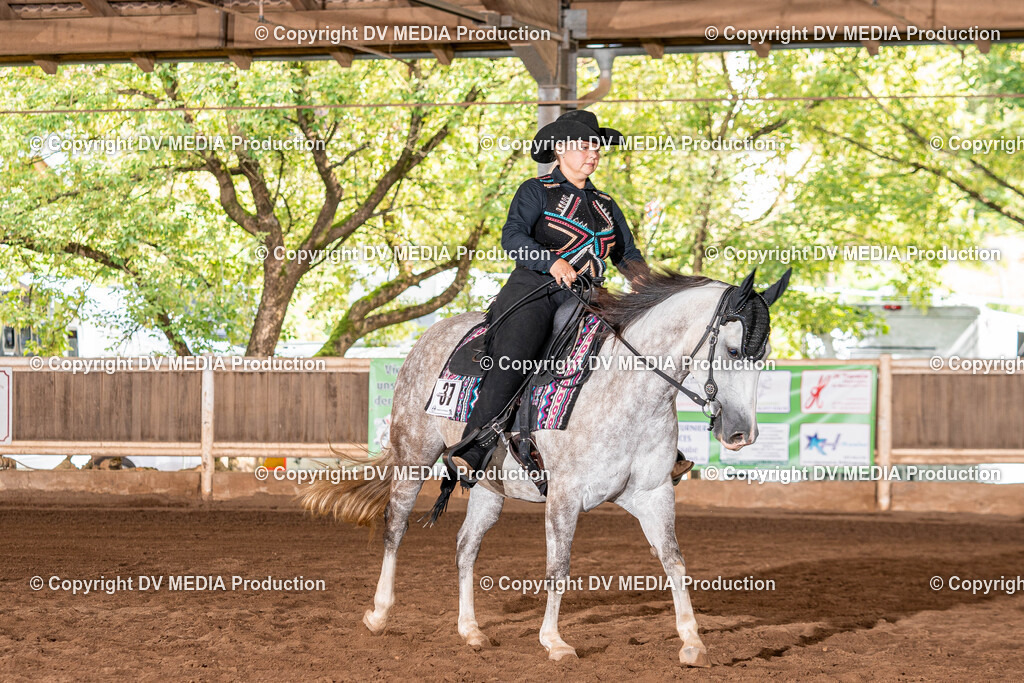 Erbach Tag 2-400 | dv-media-shop - Realisiert mit Pictrs.com