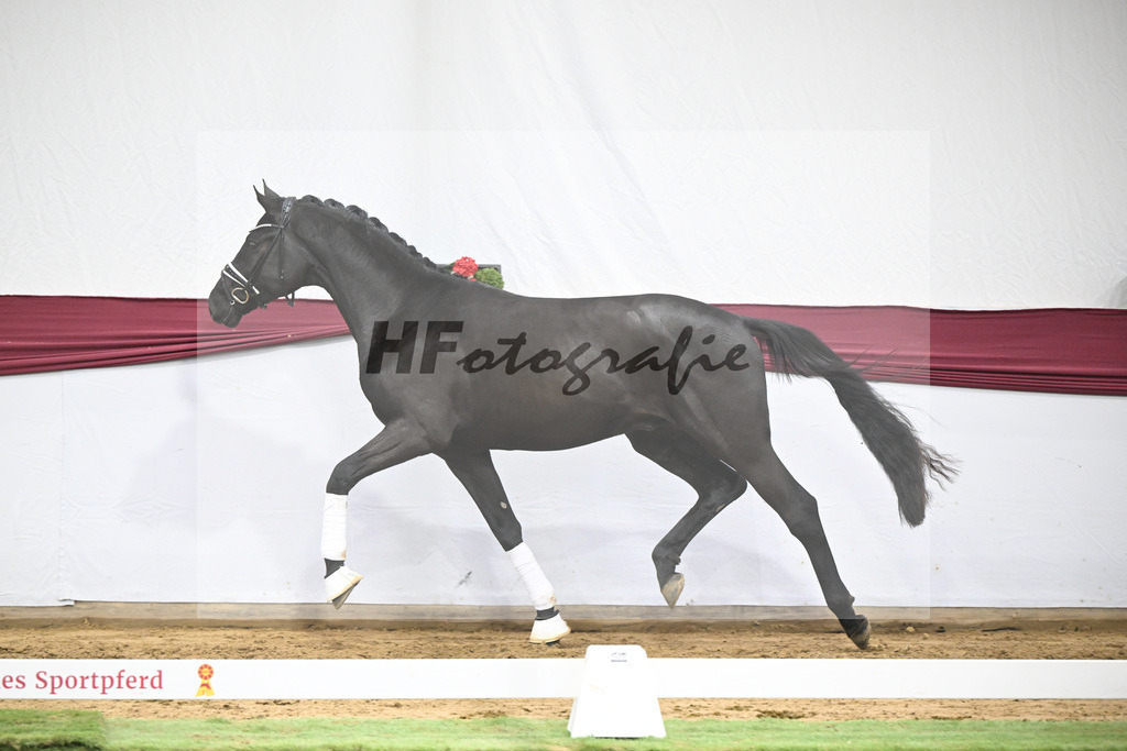 Kat-Nr. 39 Secret x Finest_Ignaz Berger_47251383 | hf-fotografie - Realisiert mit Pictrs.com