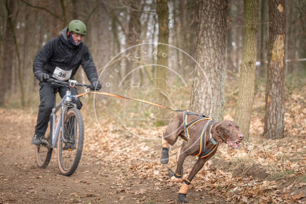 Pfotenfotografie_DV3A5522 | Hundefotografie, Tierfotograf, Pfotenfotografie, Fotoshooting Hund, Hunde Portrait, Hundesport, Hundeportraits, Heideshooting, Hunde, Sportfotograf, Hundefotograf, Turnierhundsport, THS,  - Realisiert mit Pictrs.com