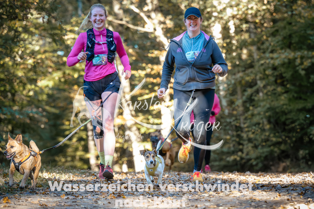1009_ZZ99356 | kk-dogfotos