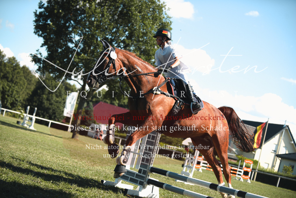 DSC_7609 | Pferde- und Turnierfotografie in Westsachsen. Pferdeportraits, Auftragszeichnungen und intuitive Kunst.