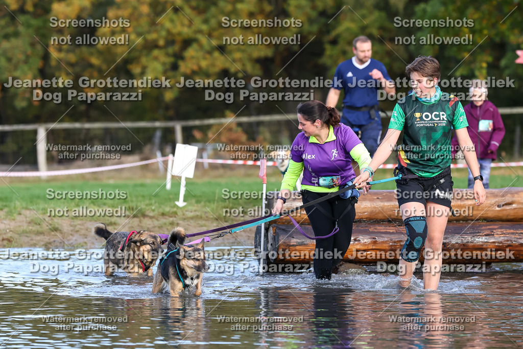 Dog Paparazzi - Strongdog 10-25-8279 | Dog Paparazzi Jeanette Grottendiek Fotografie & Videografie - Realisiert mit Pictrs.com