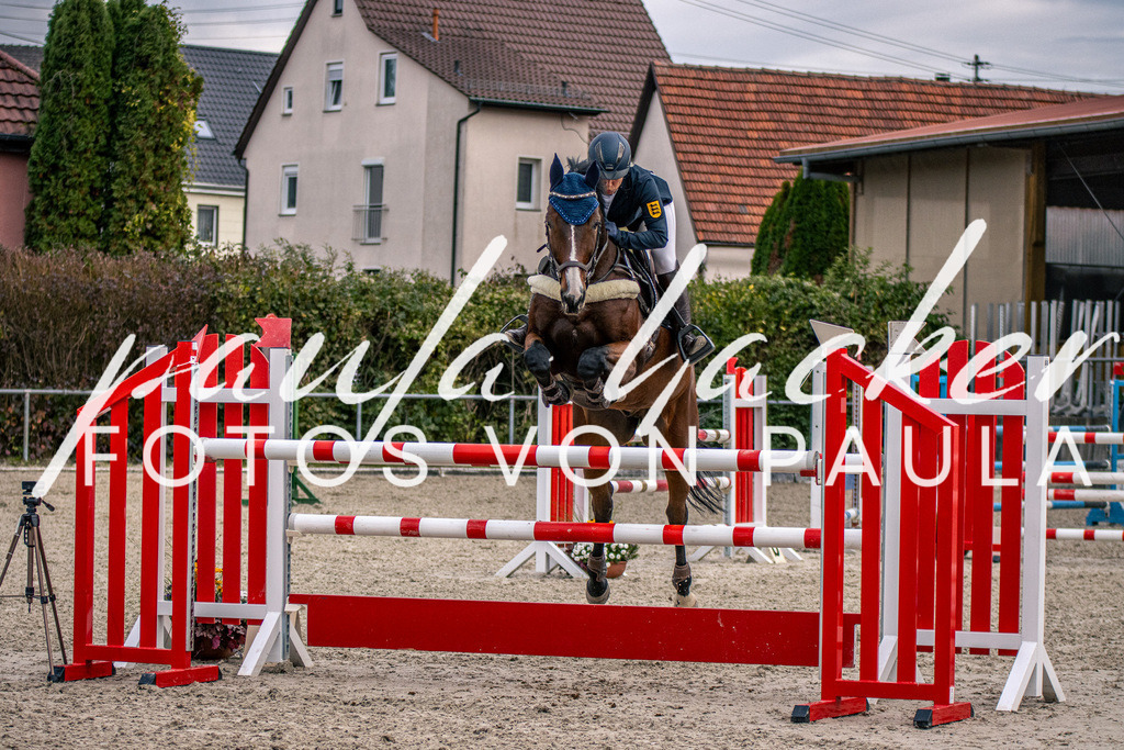IMG_6005 | Erleben Sie dynamische Sport- und emotionale Tierfotografie in Süddeutschland mit Fotos von Paula. Spezialisiert auf Pferde- und Hundefotografie sowie Sportevents. Kontaktieren Sie mich für einzigartige und ausdrucksstarke Bilder Ihrer besonderen Momente. - Realisiert mit Pictrs.com
